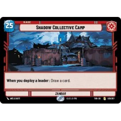 Shadow Collective Camp